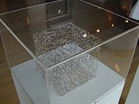 Wittgenstein's Trap